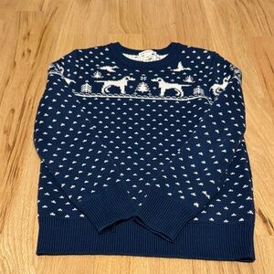 Crewcuts boys sweater